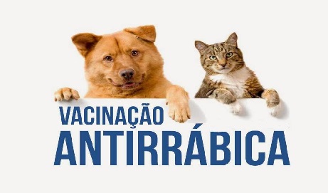 Saúde realiza plantão para vacinar cães e gatos em dois sábados