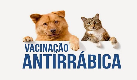 Campanha de vacinação antirrábica teve mais de mil animais vacinados no mês de Agosto