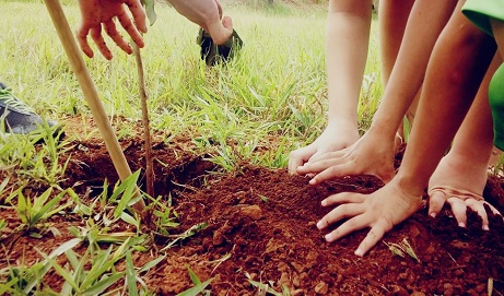 Atividade de recomposição de áreas verdes, é uma das ações de destaque da Secretaria de Meio Ambiente