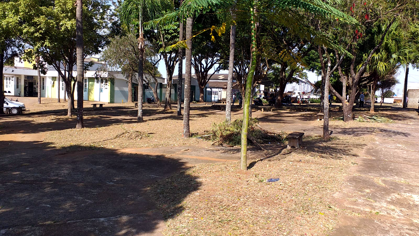 Praça do Altino Arantes recebe a equipe da Prefeitura para limpeza e poda das árvores.