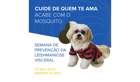 Semana de Prevenção e Controle da Leishmaniose Visceral.