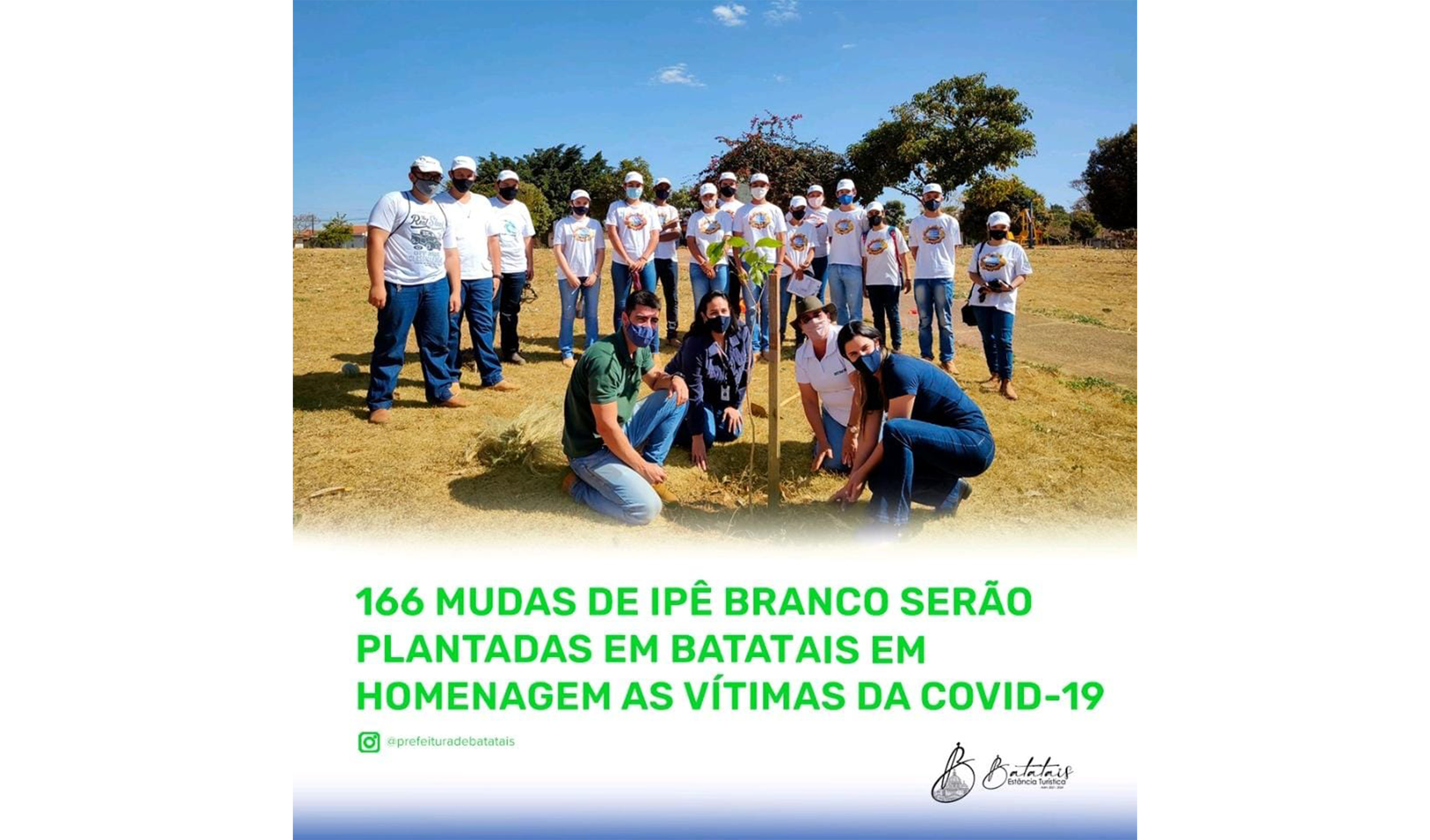 166 mudas de ipê branco serão plantadas em Batatais em homenagem as vítimas da Covid-19