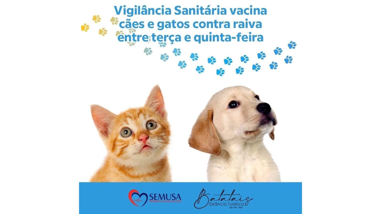 Vigilância Sanitária vacina cães e gatos contra raiva entre terça e quinta-feira.