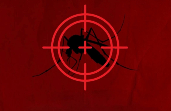 Informativo sobre a dengue