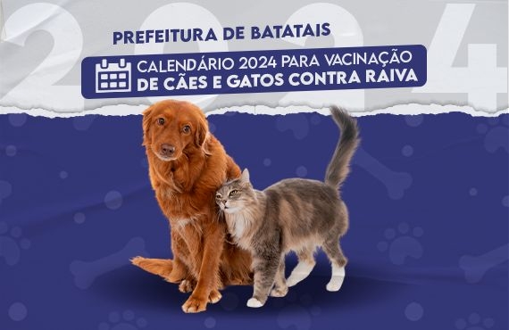 Vacinação antirrábica: leve seu pet