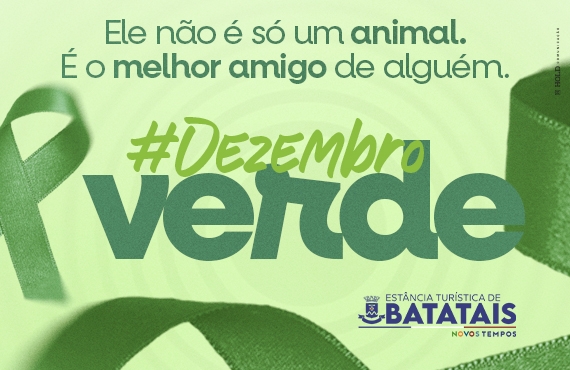 ‘Dezembro Verde’ chega para reforçar a importância da conscientização contra o abandono e os maus-tratos animais