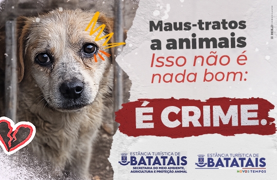 Prefeitura de Batatais reforça importância da denúncia formal em casos de maus-tratos a animais