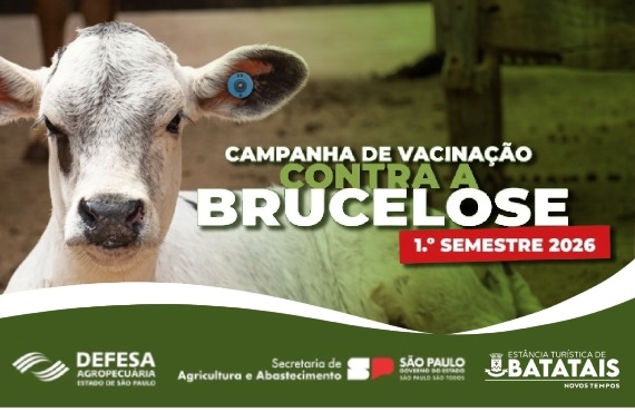 Campanha de Vacinação contra a Brucelose segue até 30 de junho
