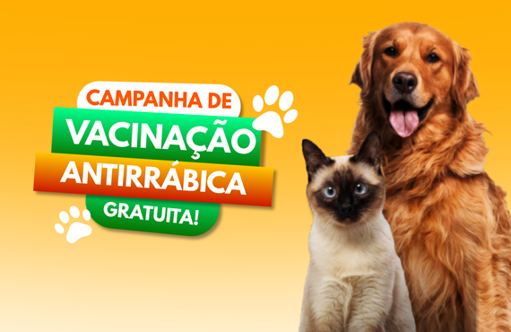 Vacinação antirrábica gratuita terá três etapas em Batatais neste mês