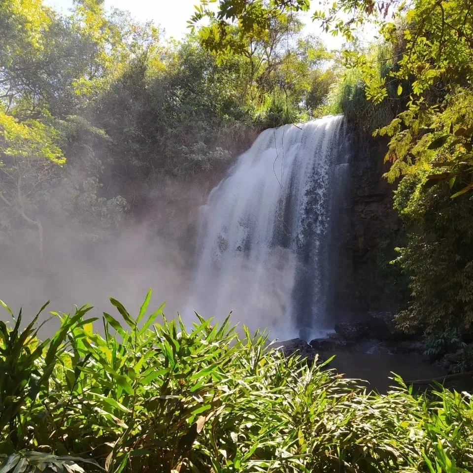 FAZENDA MORRO AZUL1