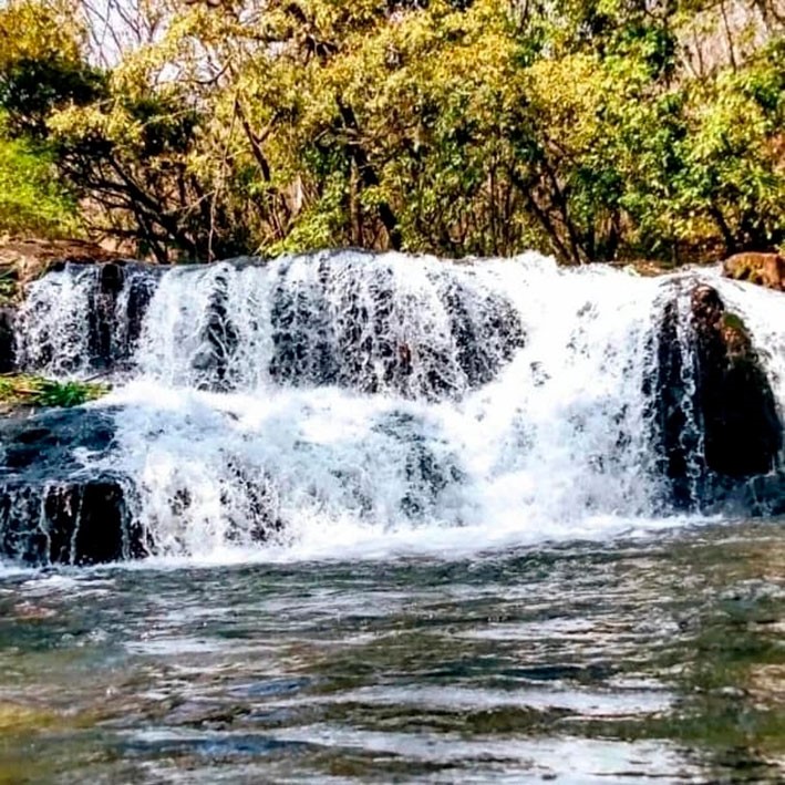 fazenda do alho2